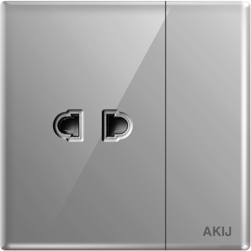 AKIJ Divine 2 Pin Socket With Switch -Grey - FDG2PS91907
