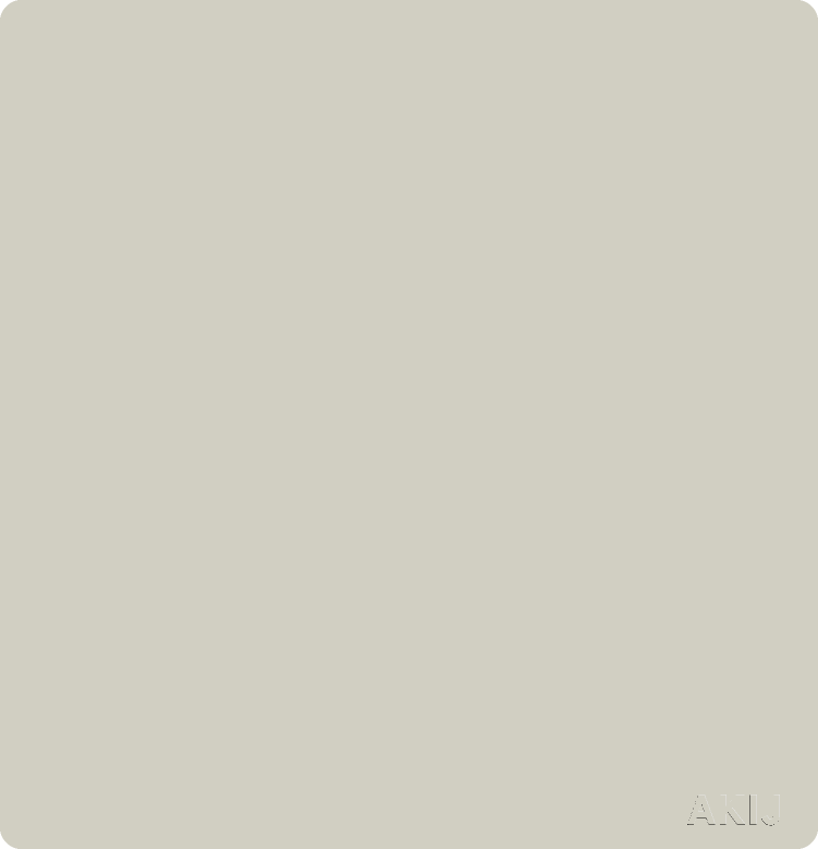 Akij Roma Blank Plate -Golden - FRBLNP10968